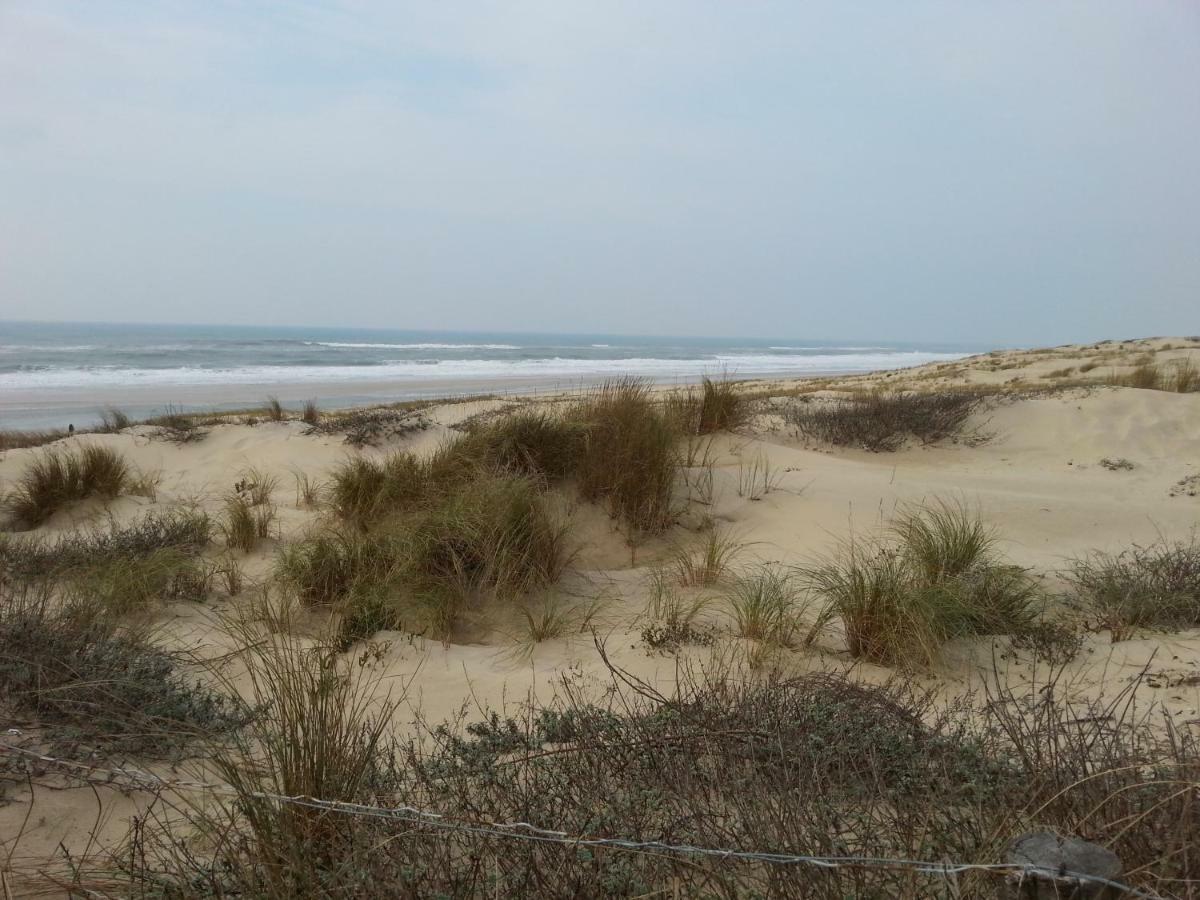 Villa "Le Mirage" Lege-Cap-Ferret Bagian luar foto